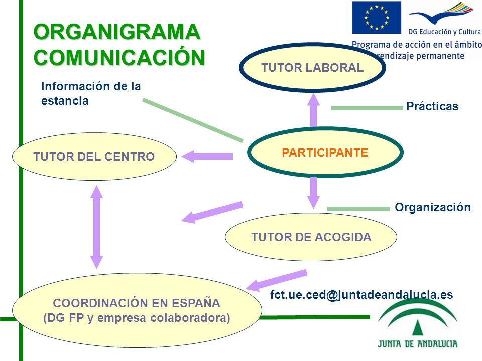 COORDINACIÓN EN ESPAÑA (DG FP y empresa colaboradora)