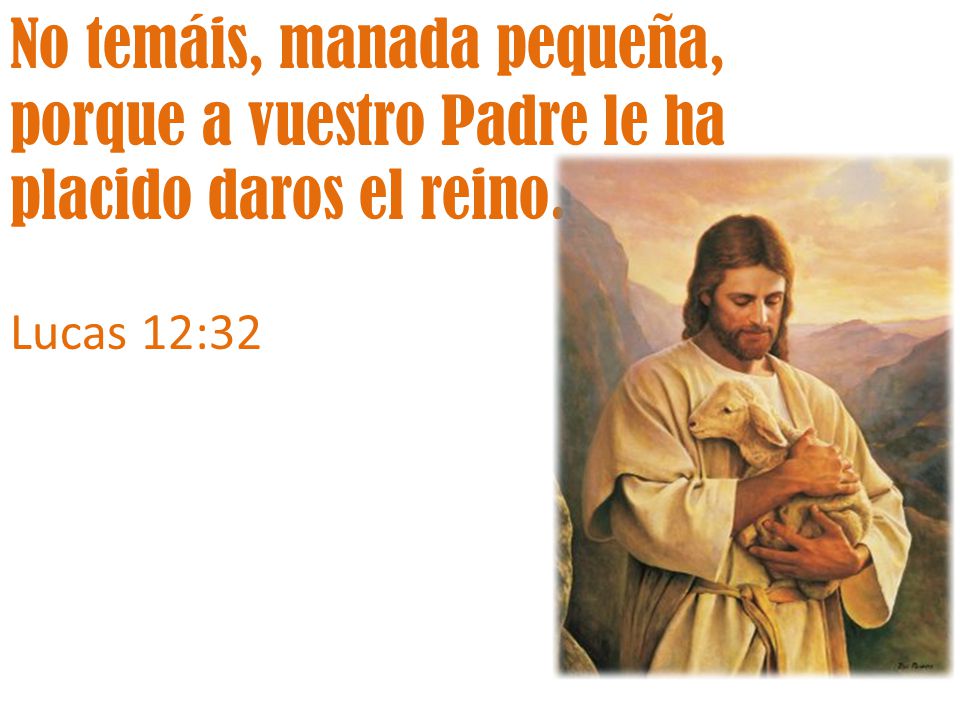 No temáis, manada pequeña, porque a vuestro Padre le ha placido daros el reino.