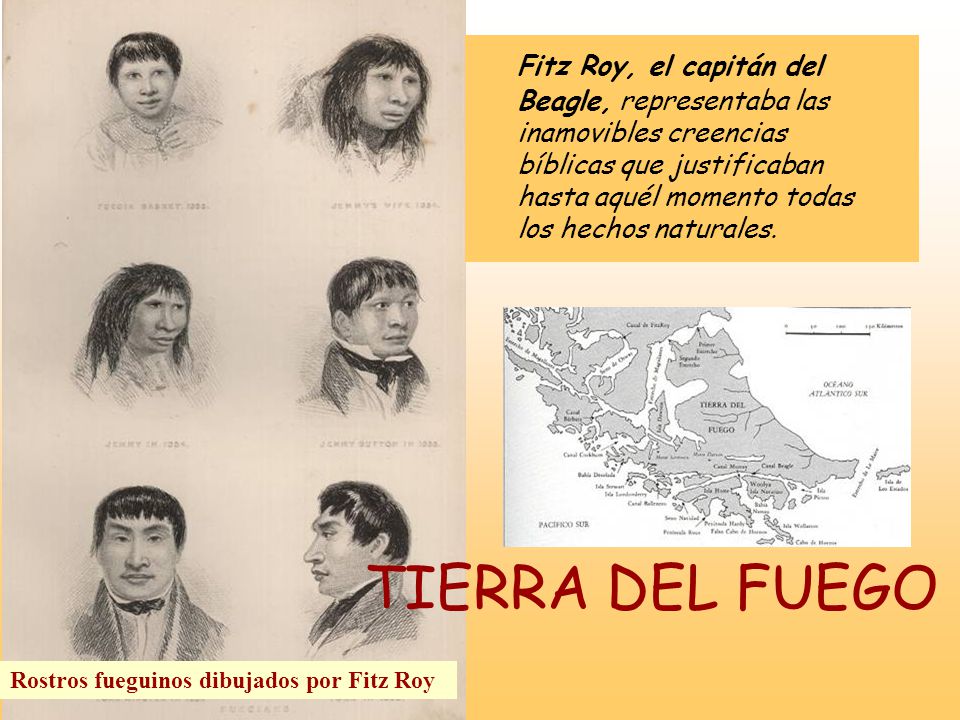 Fitz Roy, el capitán del Beagle, representaba las inamovibles creencias bíblicas que justificaban hasta aquél momento todas los hechos naturales.