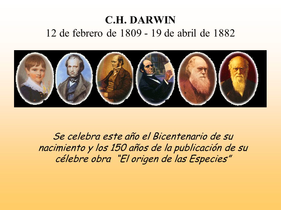 C.H. DARWIN 12 de febrero de de abril de 1882