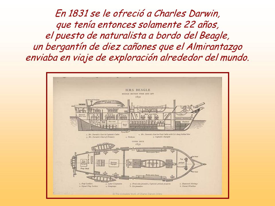 En 1831 se le ofreció a Charles Darwin, que tenía entonces solamente 22 años, el puesto de naturalista a bordo del Beagle, un bergantín de diez cañones que el Almirantazgo enviaba en viaje de exploración alrededor del mundo.