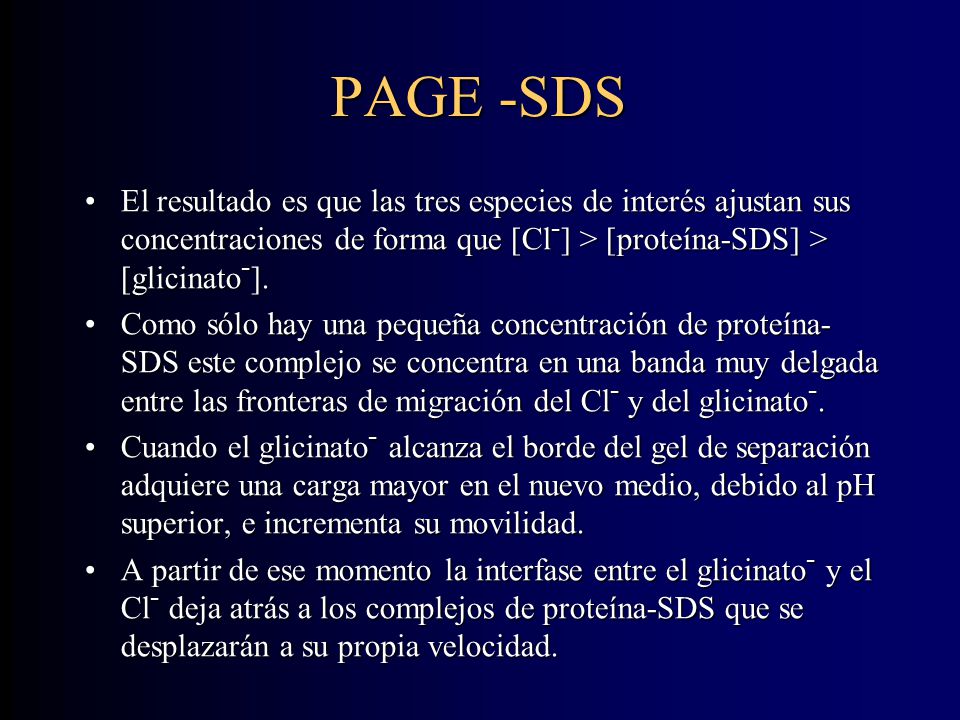 PAGE -SDS El resultado es que las tres especies de interés ajustan sus concentraciones de forma que [Cl-] > [proteína-SDS] > [glicinato-].