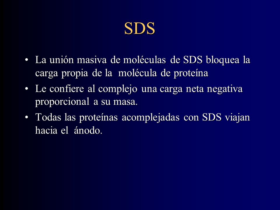 SDS La unión masiva de moléculas de SDS bloquea la carga propia de la molécula de proteína.