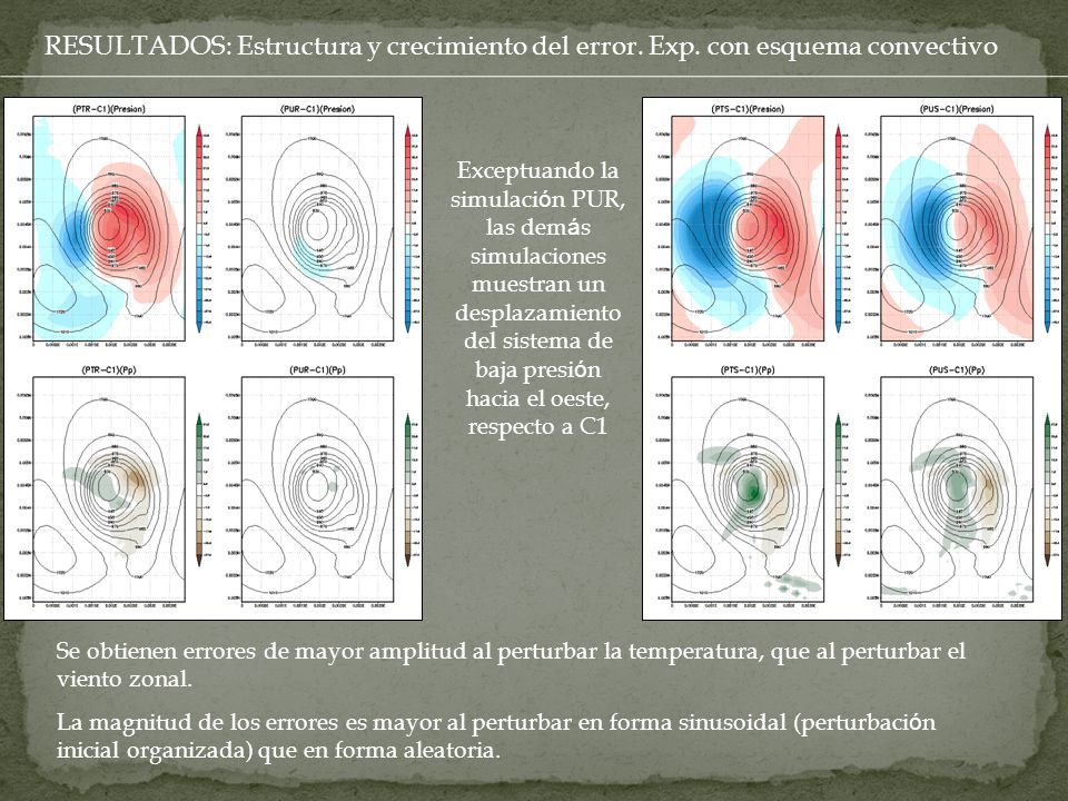 RESULTADOS: Estructura y crecimiento del error. Exp