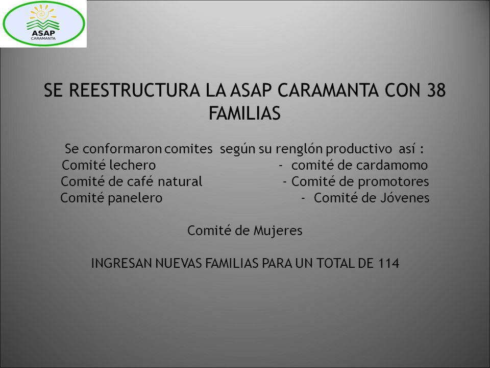 SE REESTRUCTURA LA ASAP CARAMANTA CON 38 FAMILIAS Se conformaron comites según su renglón productivo así : Comité lechero - comité de cardamomo Comité de café natural - Comité de promotores