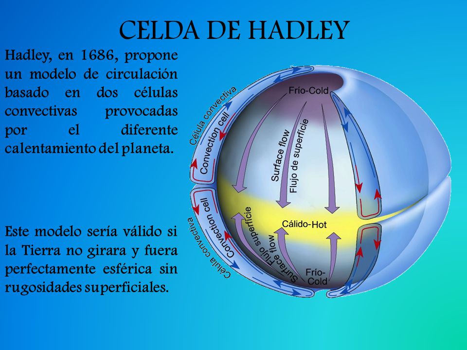 CELDA DE HADLEY
