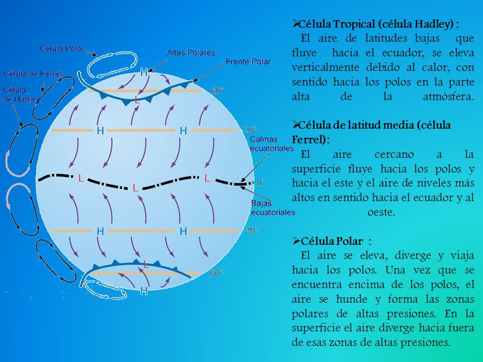 Célula Tropical (célula Hadley) :