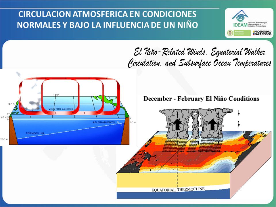CIRCULACION ATMOSFERICA EN CONDICIONES NORMALES Y BAJO LA INFLUENCIA DE UN NIÑO