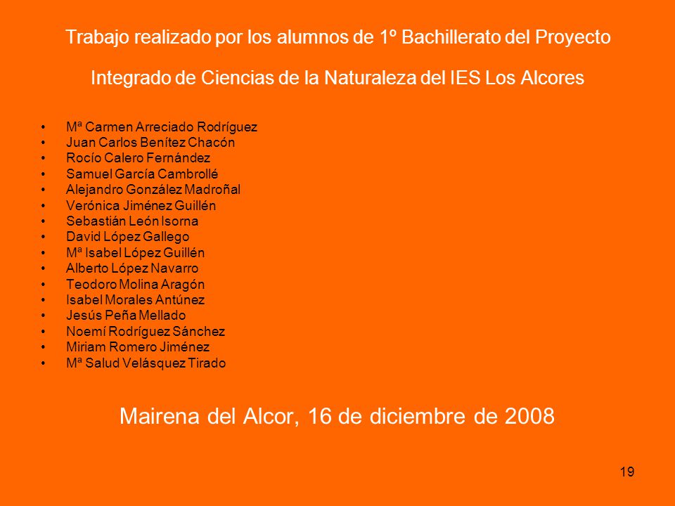 Mairena del Alcor, 16 de diciembre de 2008
