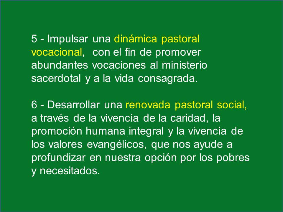 5 - Impulsar una dinámica pastoral vocacional, con el fin de promover abundantes vocaciones al ministerio sacerdotal y a la vida consagrada.