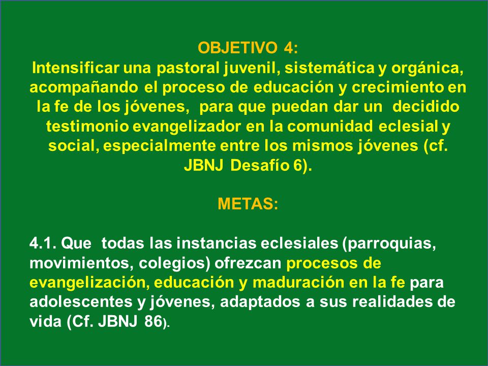 OBJETIVO 4: Intensificar una pastoral juvenil, sistemática y orgánica,