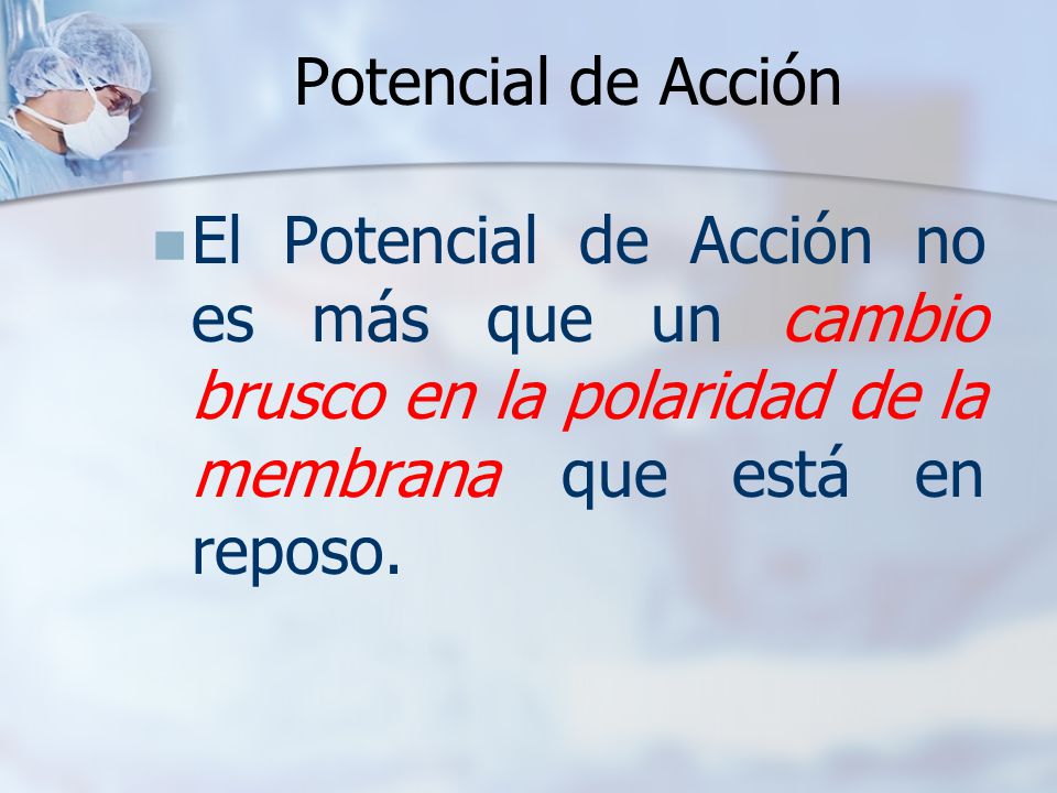 Potencial de Acción El Potencial de Acción no es más que un cambio brusco en la polaridad de la membrana que está en reposo.