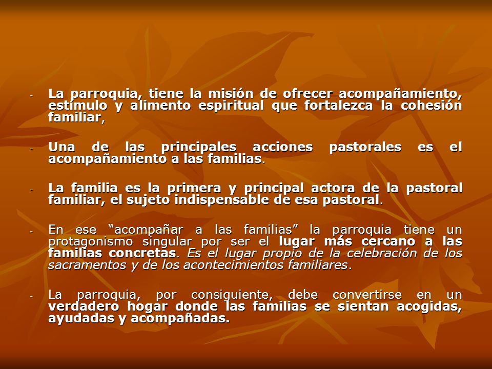 La parroquia, tiene la misión de ofrecer acompañamiento, estímulo y alimento espiritual que fortalezca la cohesión familiar,