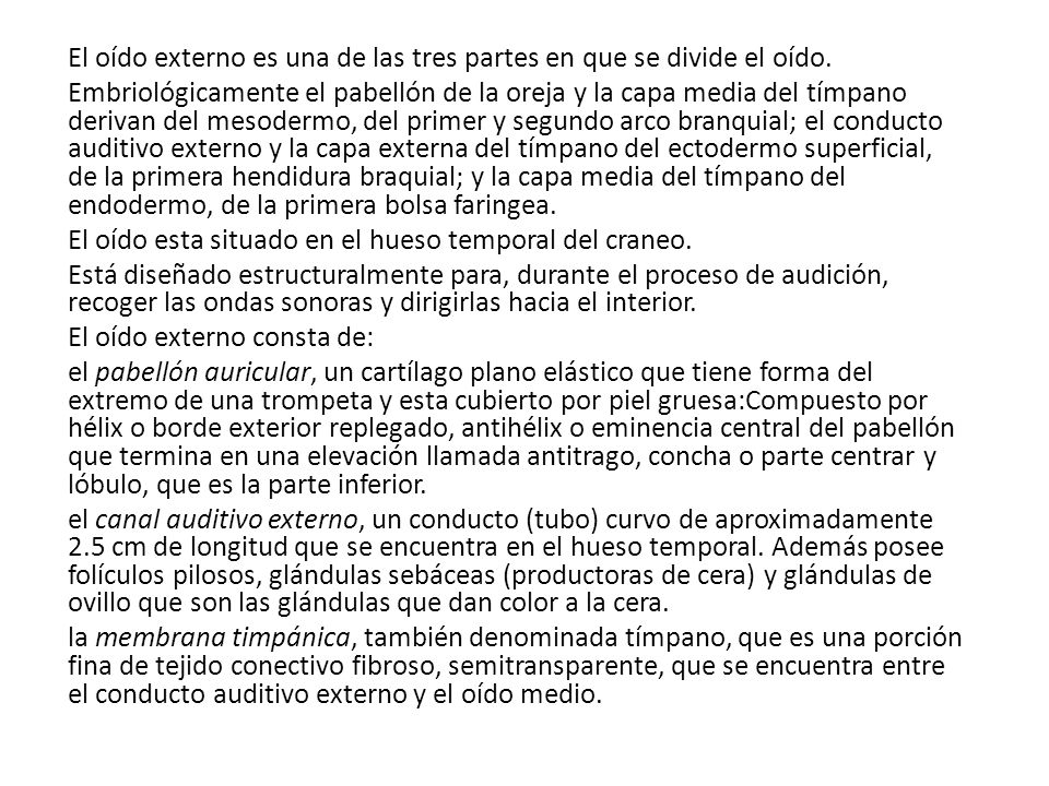 El oído externo es una de las tres partes en que se divide el oído.