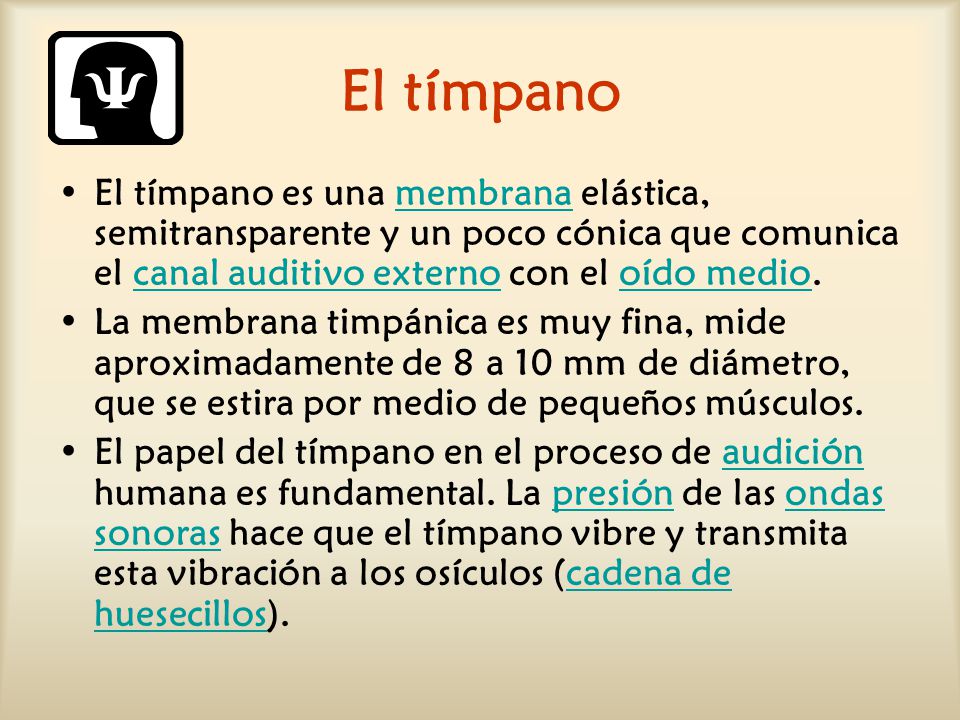El tímpano El tímpano es una membrana elástica, semitransparente y un poco cónica que comunica el canal auditivo externo con el oído medio.