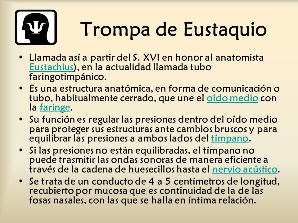 Trompa de Eustaquio Llamada así a partir del S. XVI en honor al anatomista Eustachius), en la actualidad llamada tubo faringotimpánico.
