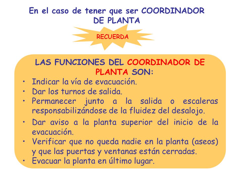 En el caso de tener que ser COORDINADOR DE PLANTA