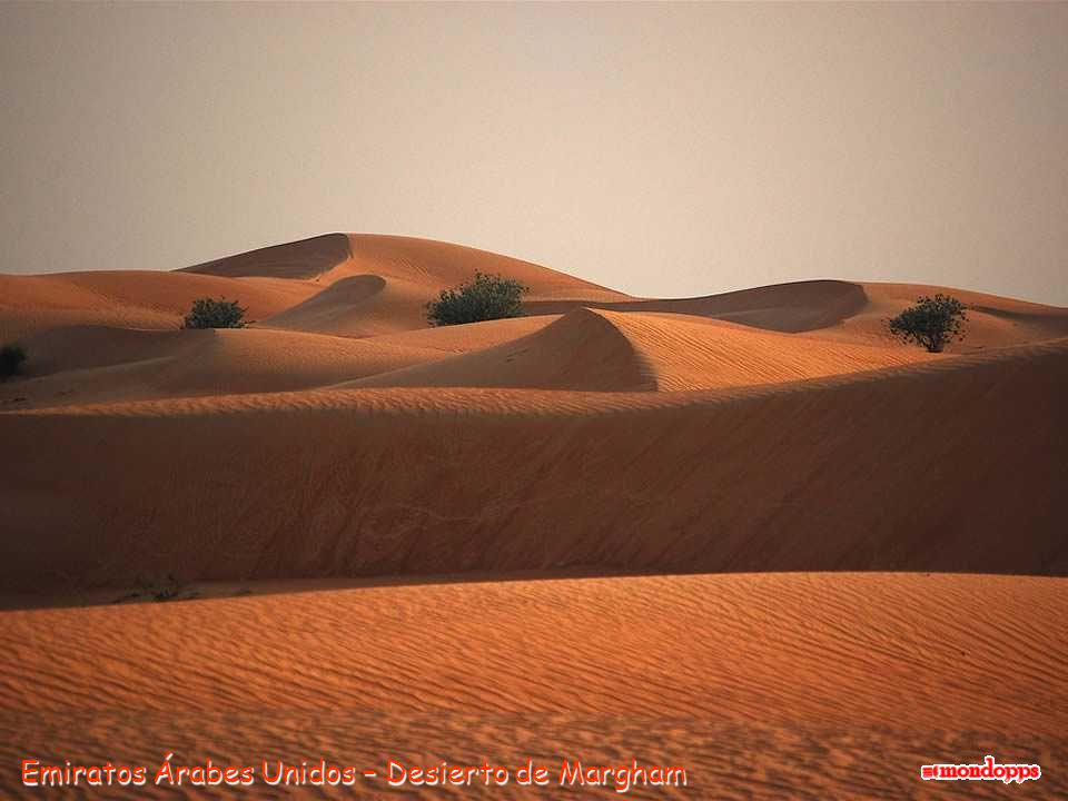 Emiratos Árabes Unidos – Desierto de Margham