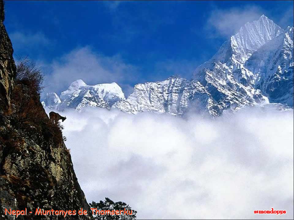 Nepal - Muntanyes de Thamserku