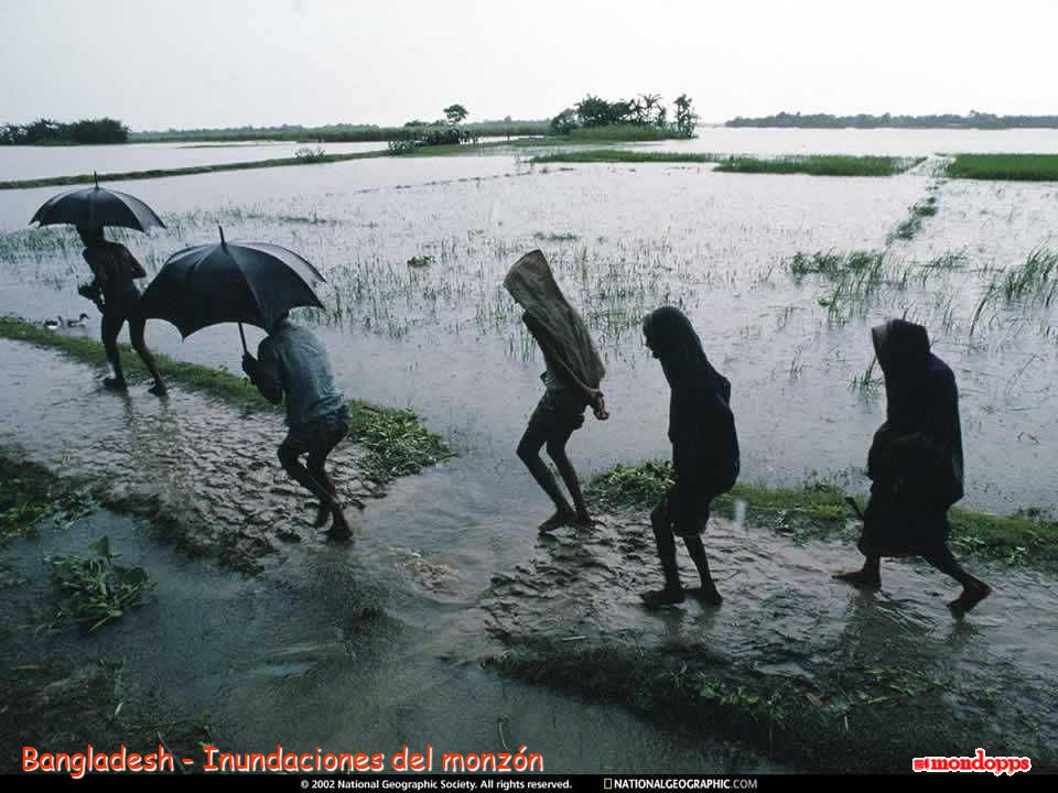 Bangladesh - Inundaciones del monzón