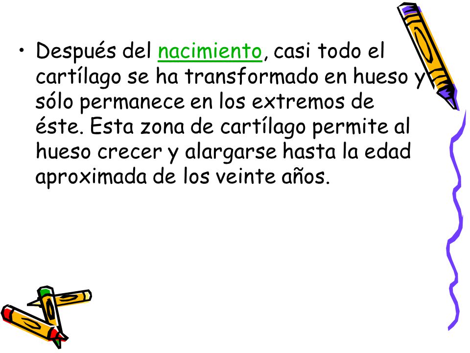 Después del nacimiento, casi todo el cartílago se ha transformado en hueso y sólo permanece en los extremos de éste.