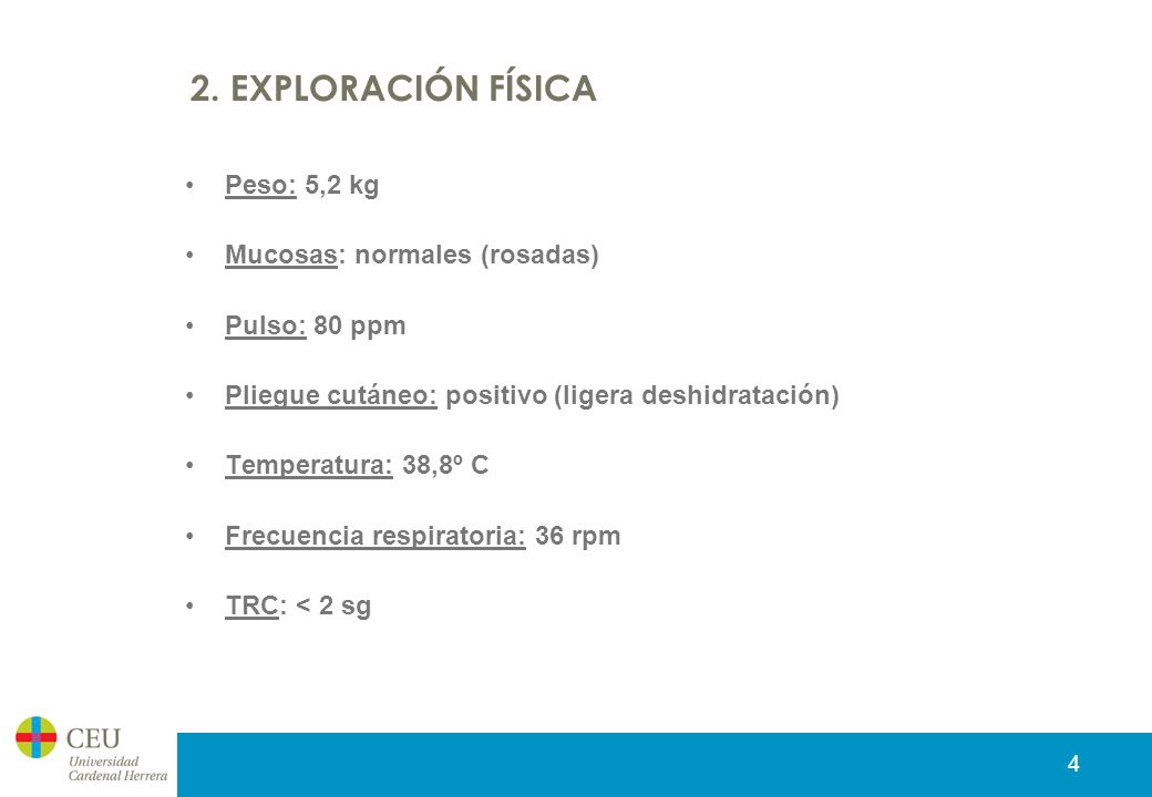 2. EXPLORACIÓN FÍSICA Peso: 5,2 kg Mucosas: normales (rosadas)