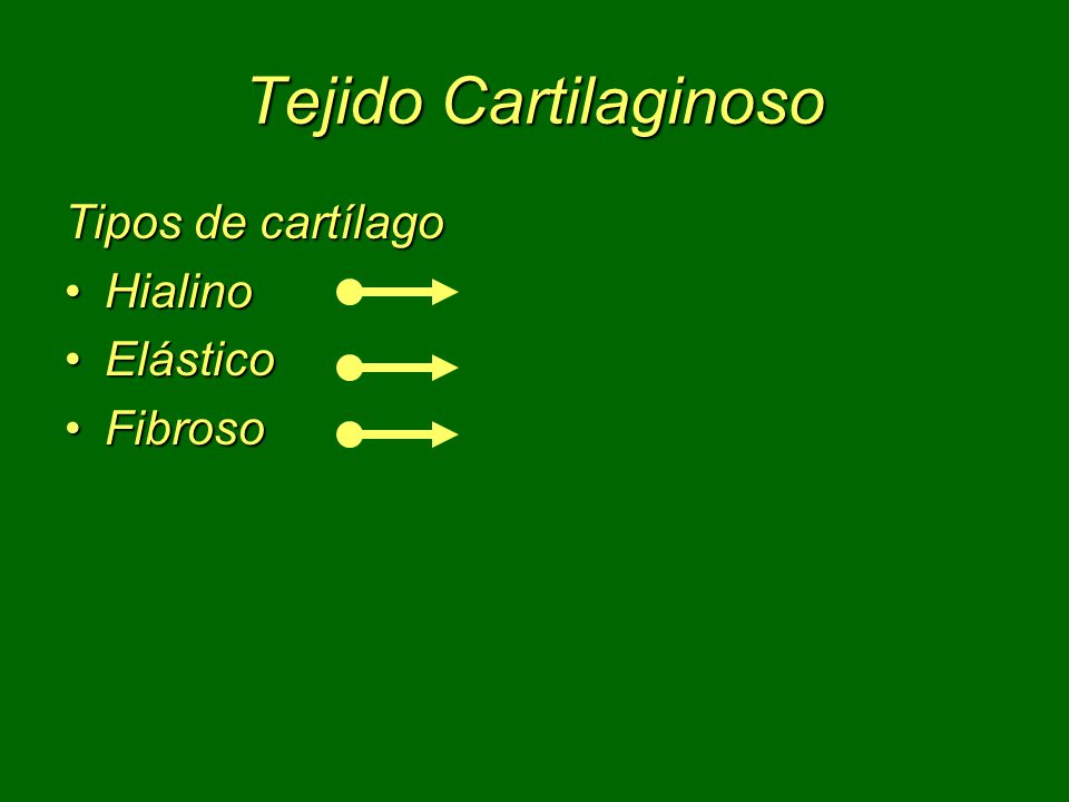 Tejido Cartilaginoso Tipos de cartílago Hialino Elástico Fibroso