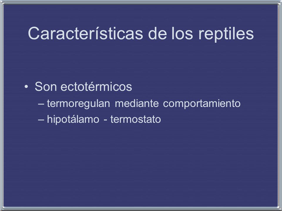 Características de los reptiles