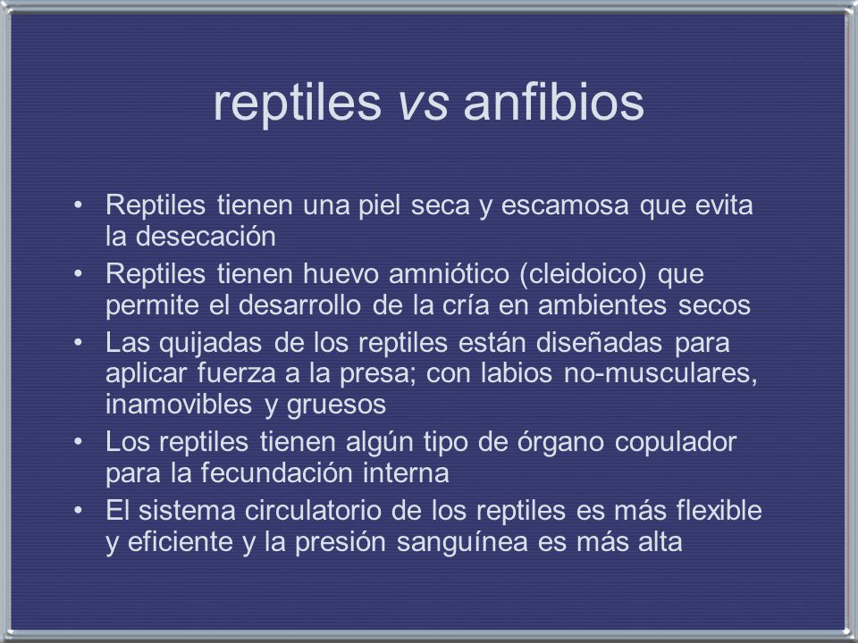 reptiles vs anfibios Reptiles tienen una piel seca y escamosa que evita la desecación.