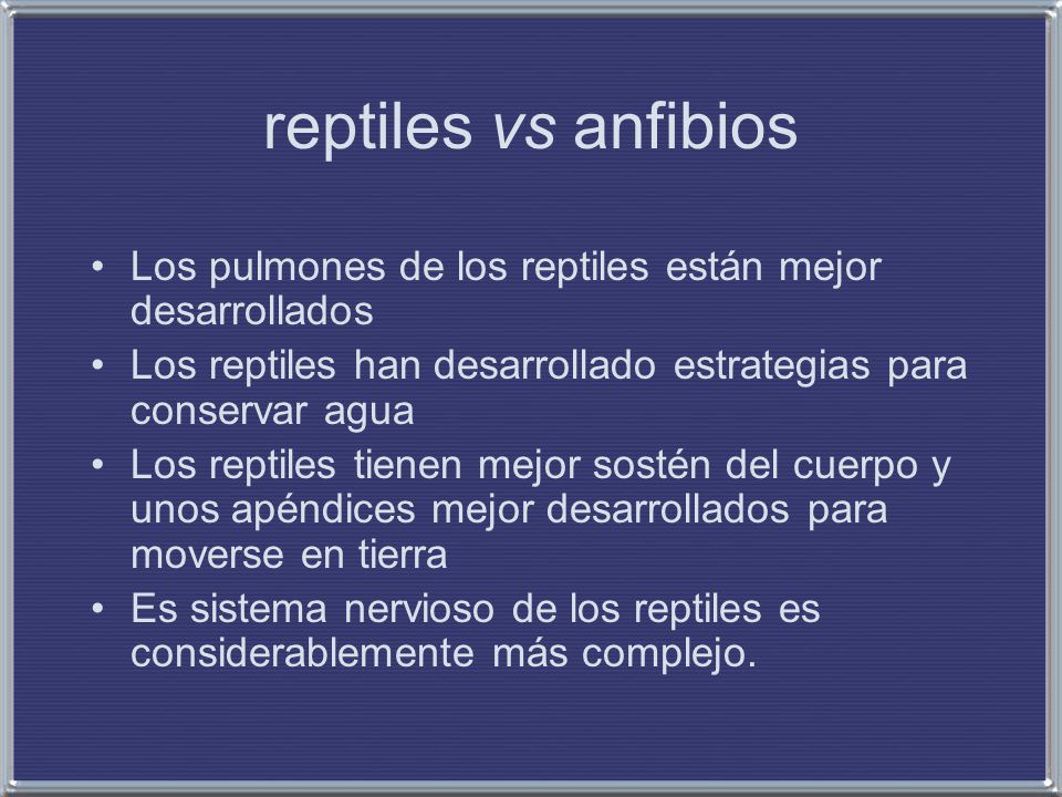 reptiles vs anfibios Los pulmones de los reptiles están mejor desarrollados. Los reptiles han desarrollado estrategias para conservar agua.