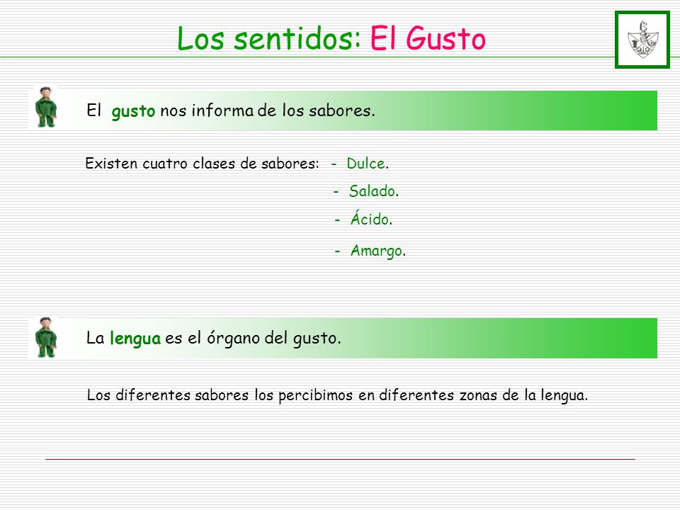 Los sentidos: El Gusto El gusto nos informa de los sabores.