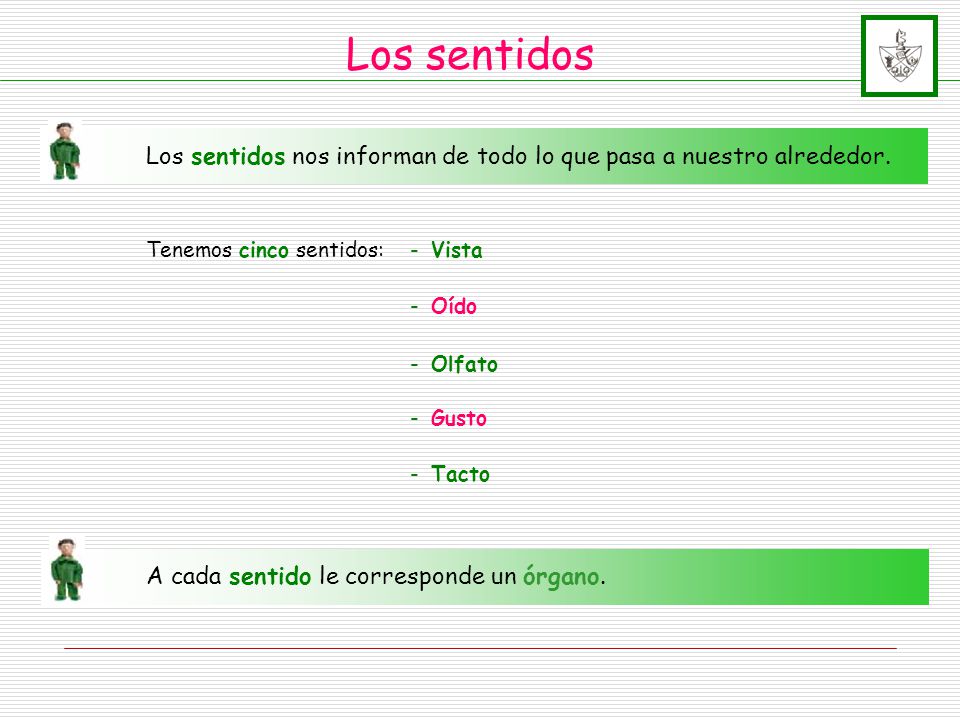 Los sentidos Los sentidos nos informan de todo lo que pasa a nuestro alrededor. Tenemos cinco sentidos: