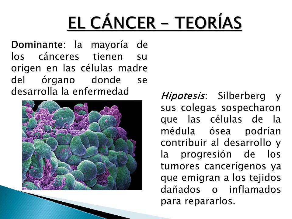 EL CÁNCER - TEORÍAS Dominante: la mayoría de los cánceres tienen su origen en las células madre del órgano donde se desarrolla la enfermedad.