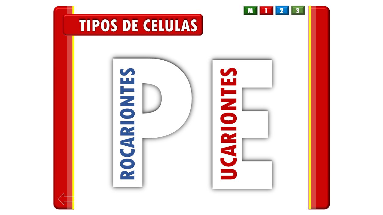 P E M TIPOS DE CELULAS UCARIONTES ROCARIONTES