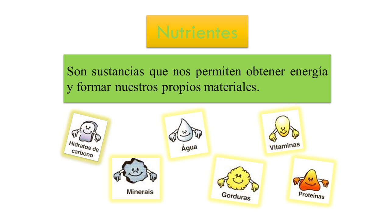 Nutrientes Son sustancias que nos permiten obtener energía y formar nuestros propios materiales.