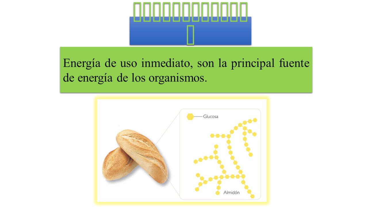 Carbohidratos Energía de uso inmediato, son la principal fuente de energía de los organismos.
