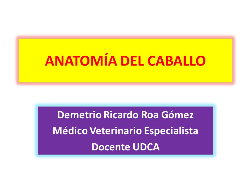Demetrio Ricardo Roa Gómez Médico Veterinario Especialista