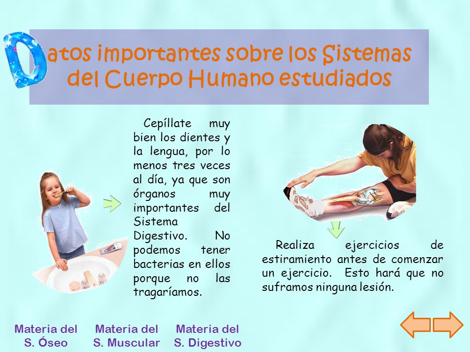 atos importantes sobre los Sistemas del Cuerpo Humano estudiados