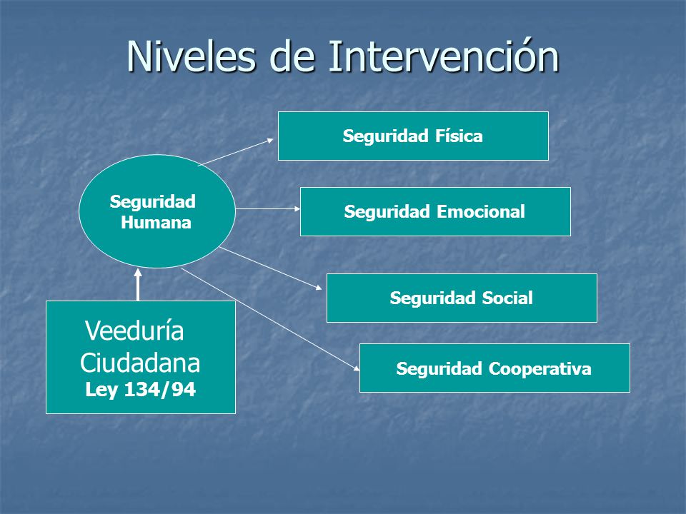 Niveles de Intervención