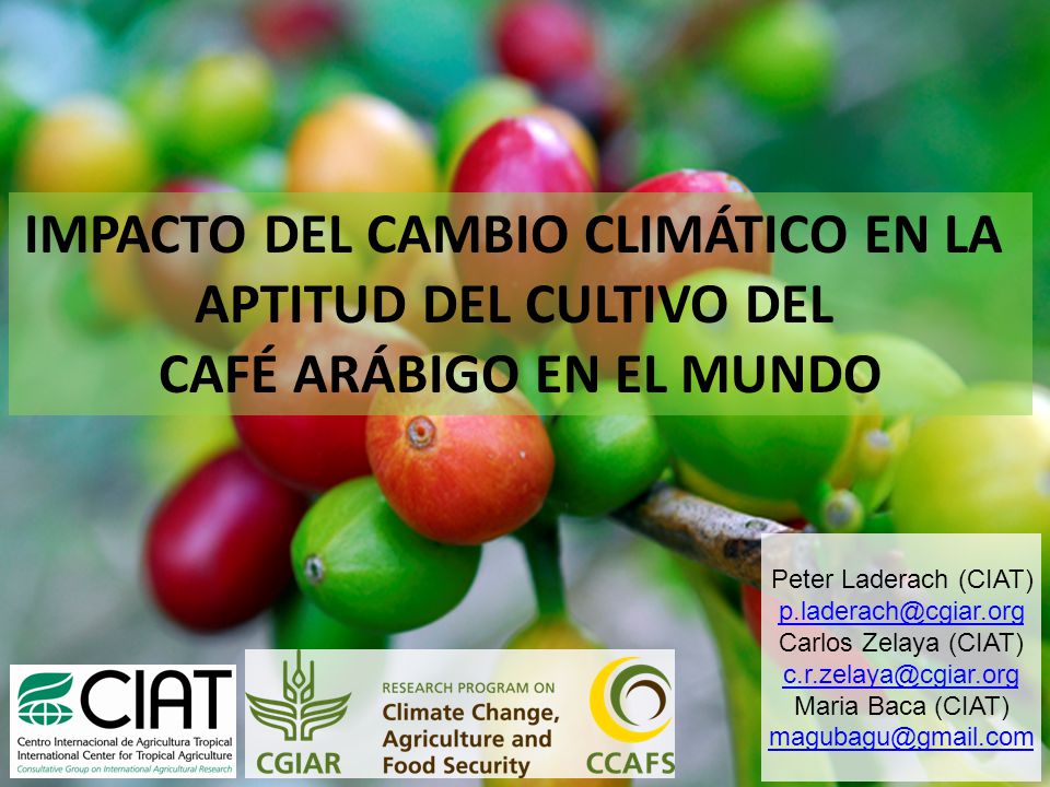 IMPACTO DEL CAMBIO CLIMÁTICO EN LA APTITUD DEL CULTIVO DEL