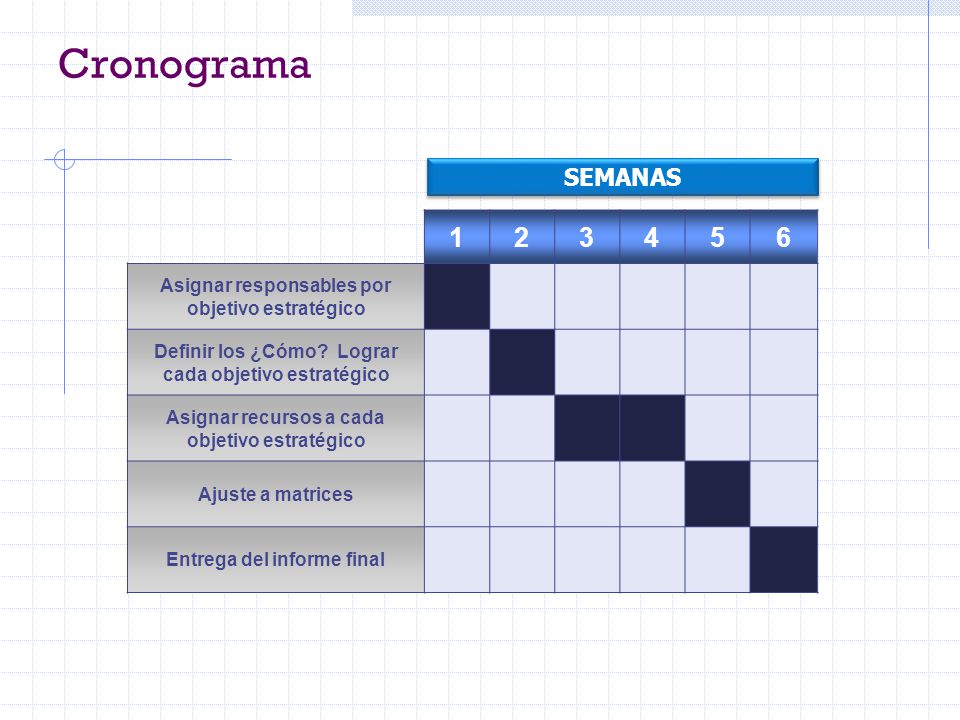 Cronograma SEMANAS Asignar responsables por objetivo estratégico. Definir los ¿Cómo Lograr cada objetivo estratégico.