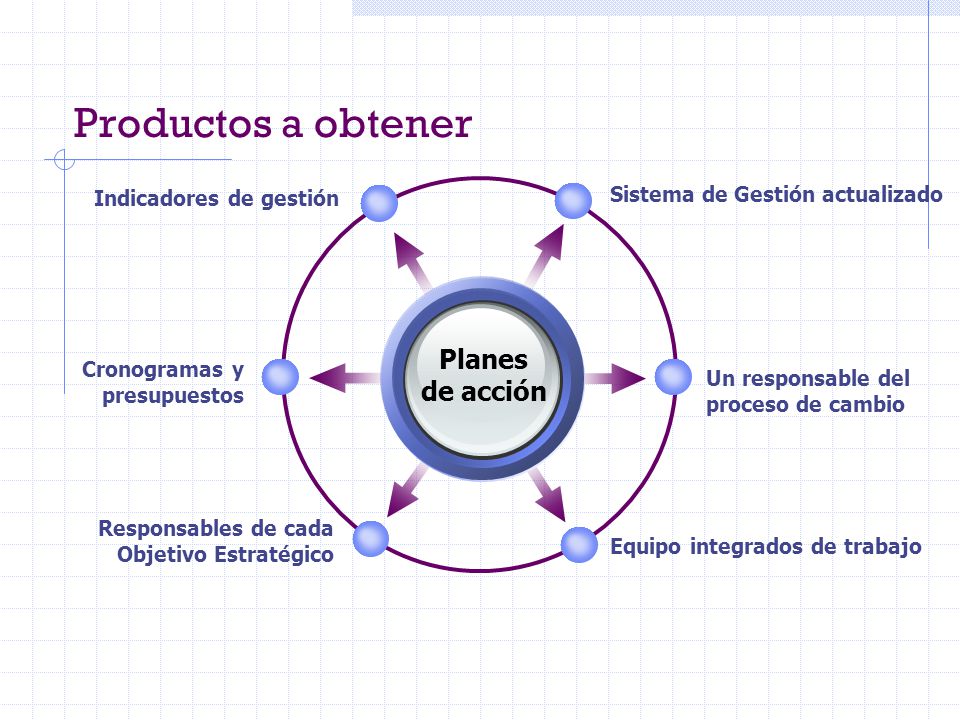Productos a obtener Planes de acción Sistema de Gestión actualizado