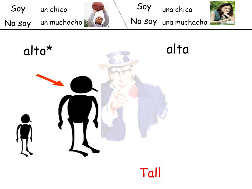alta alto* Tall Soy Soy No soy No soy un chico un muchacho una chica