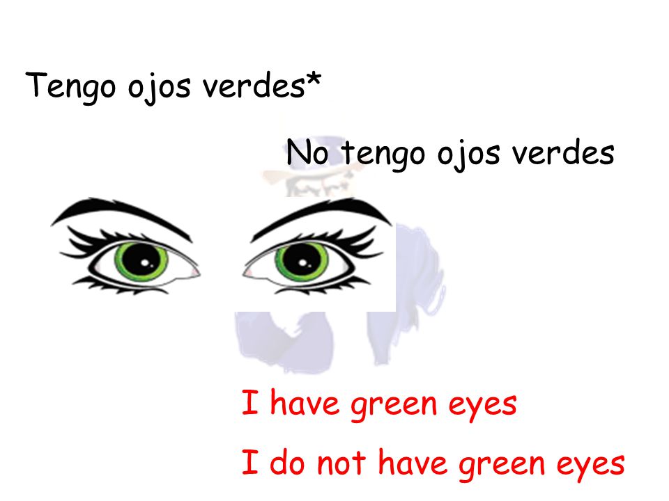 Tengo ojos verdes* No tengo ojos verdes I have green eyes I do not have green eyes