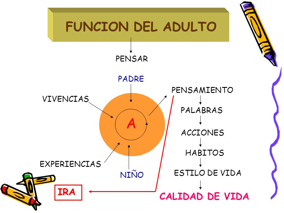 A FUNCION DEL ADULTO IRA CALIDAD DE VIDA PENSAR PADRE PENSAMIENTO