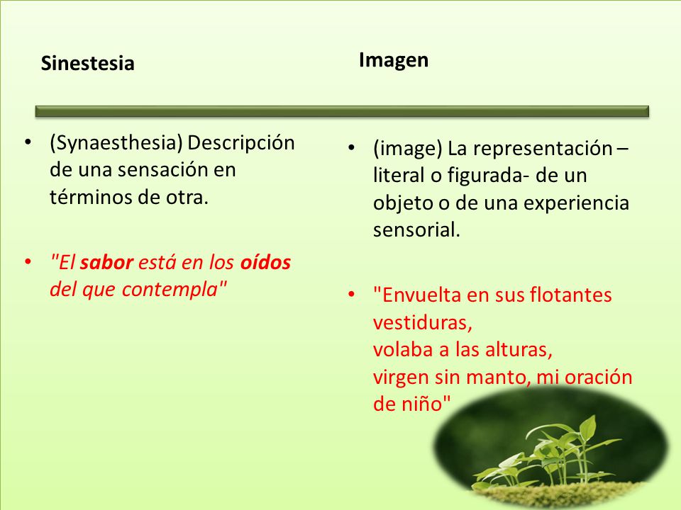 Sinestesia Imagen. (Synaesthesia) Descripción de una sensación en términos de otra. El sabor está en los oídos del que contempla