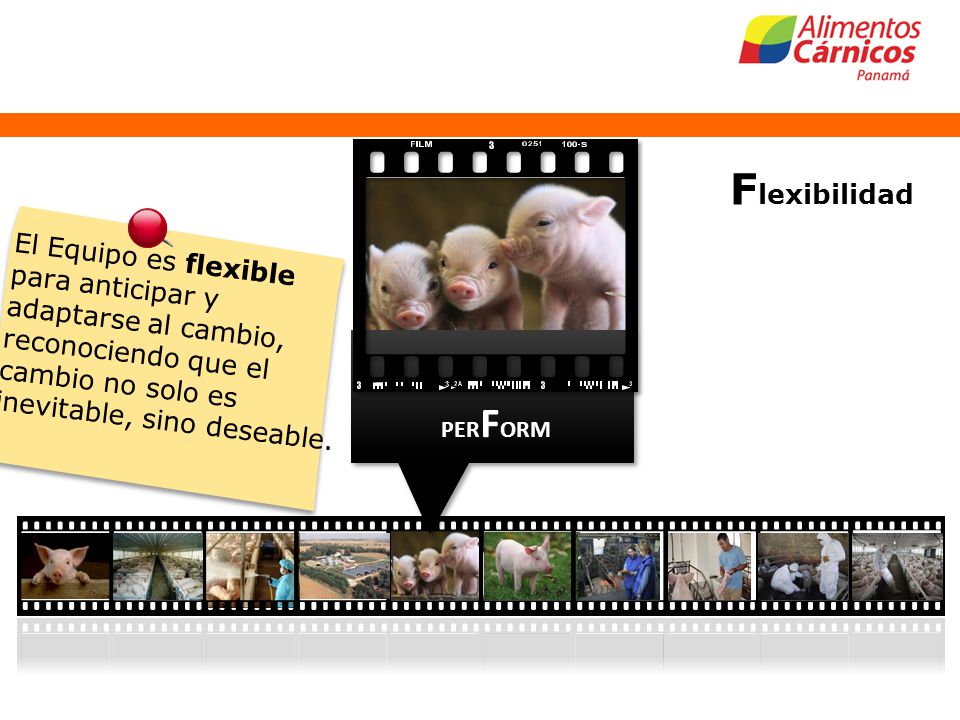 Flexibilidad El Equipo es flexible para anticipar y adaptarse al cambio, reconociendo que el cambio no solo es inevitable, sino deseable.