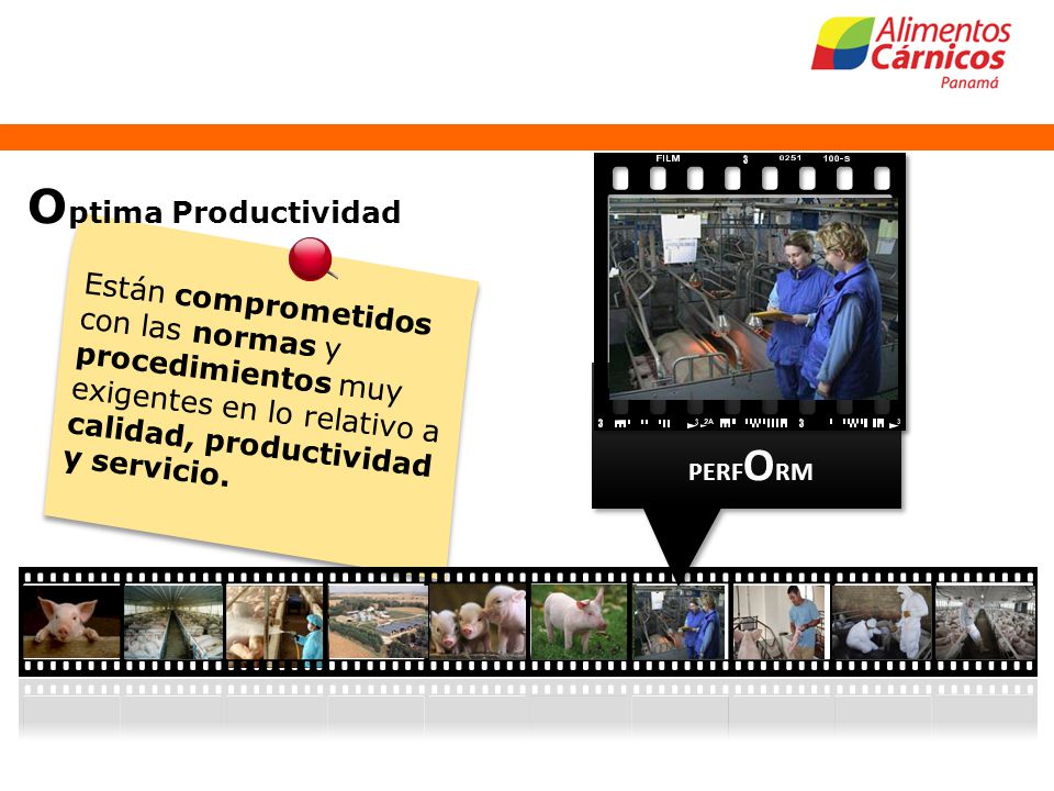 Optima Productividad Están comprometidos con las normas y procedimientos muy exigentes en lo relativo a calidad, productividad y servicio.
