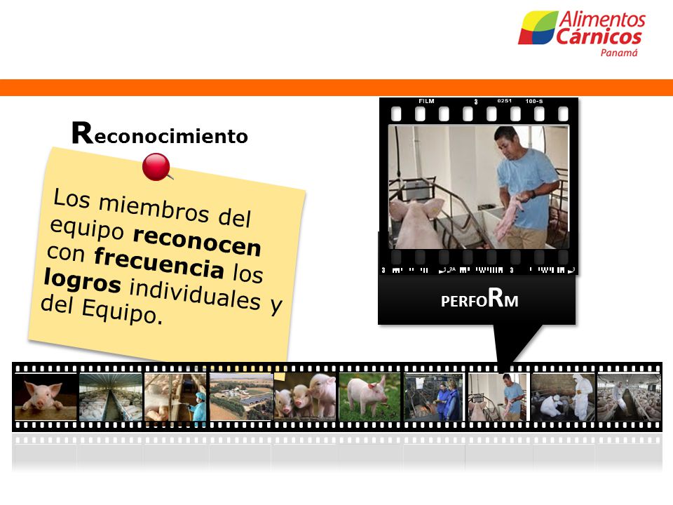 Reconocimiento Los miembros del equipo reconocen con frecuencia los logros individuales y del Equipo.