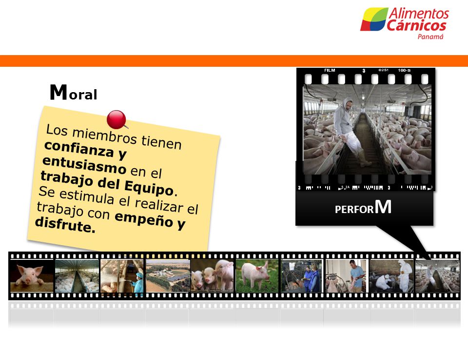 Moral Los miembros tienen confianza y entusiasmo en el trabajo del Equipo. Se estimula el realizar el trabajo con empeño y disfrute.